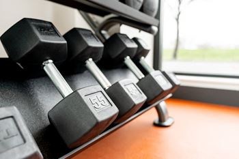 Free weights